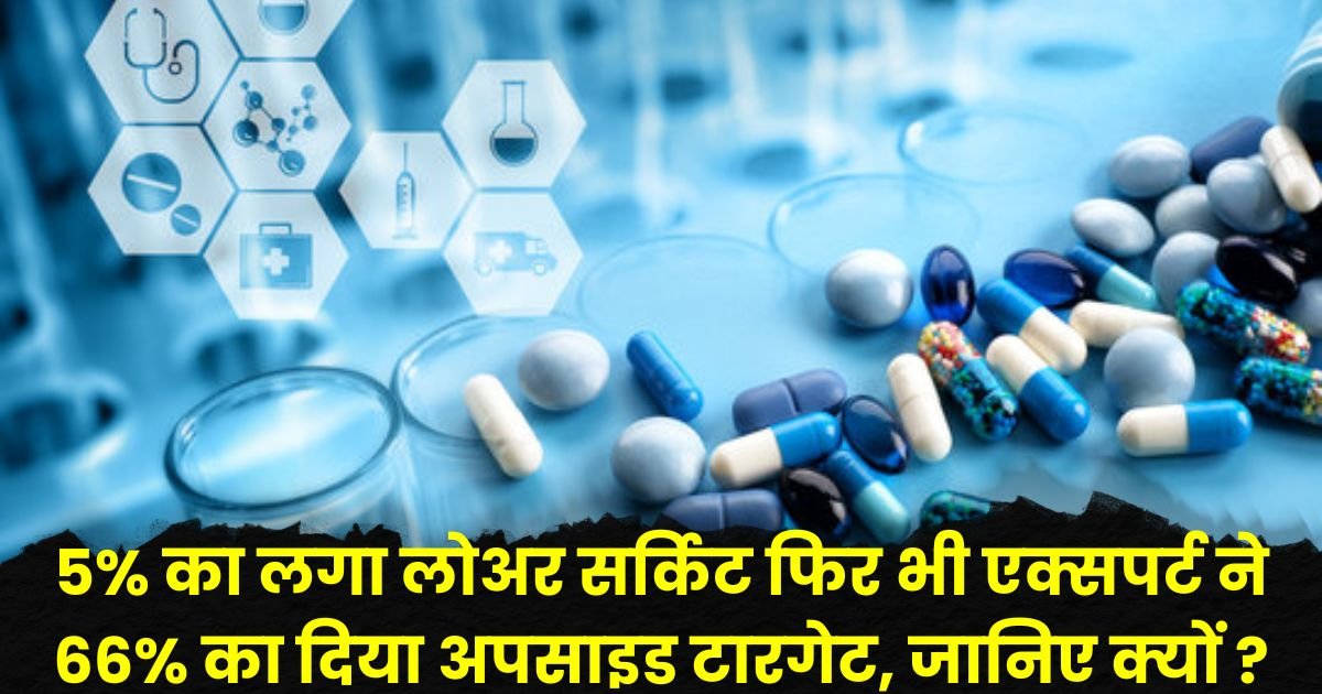 Orchid Pharma Share Price